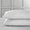 DG Standard 2
