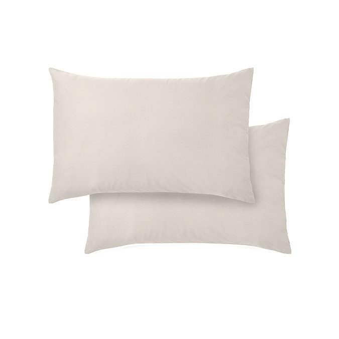 Oyster Standard 5