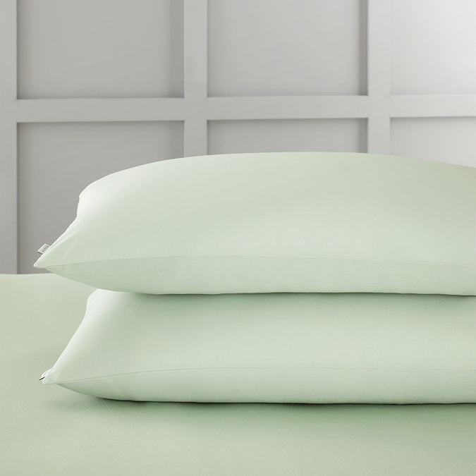 Sage Standard 2
