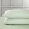 Sage Standard 2