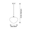 Daisy pendant ceiling light image