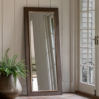 image of bronze leaner mirror against cream wall of home next to potted plant