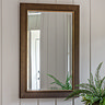 image of rectangular wall mirror in bronze finish on cream wall