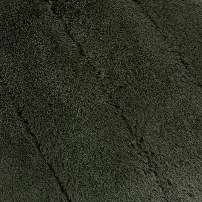 Empress Pine image 3