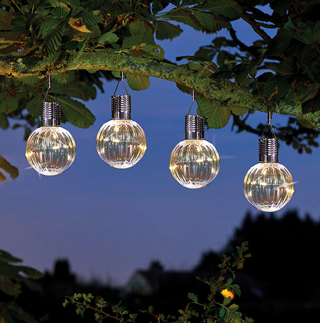 image of four orb lights on a string in a tree, with firefly LEDs