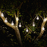 image of 10 retro bulbs emitting warm white light, hanging in tree at night