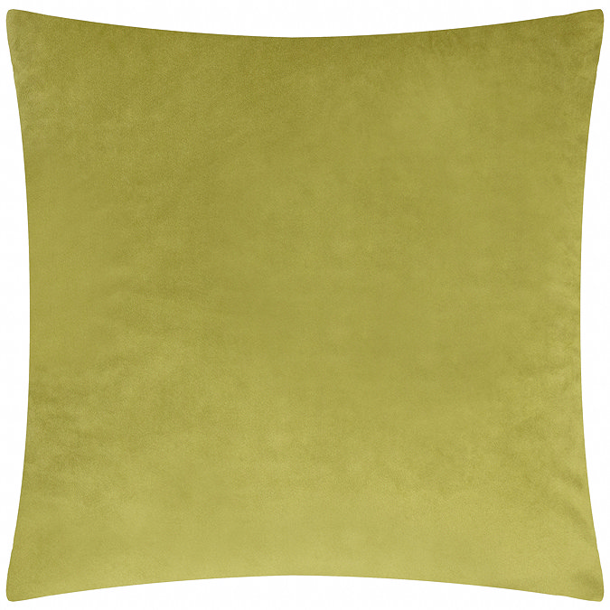 back image of cushion with plain velvet green reverse