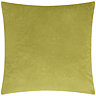 back image of cushion with plain velvet green reverse