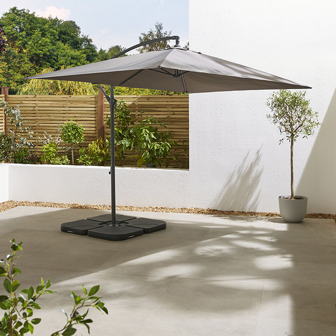 Florida grey parasol image