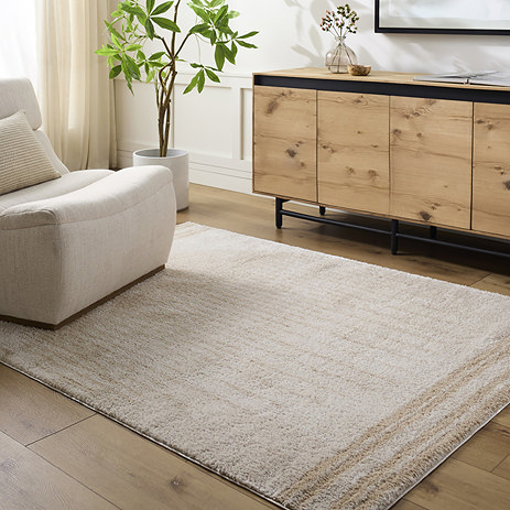 image of cream rug with beige circle design, on light wooden flooring