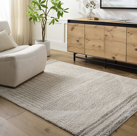 image of grey and cream rug on light wooden flooring of modern lounge