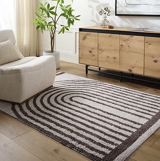 image of brown and cream soft rug with line arch pattern, on light wood flooring