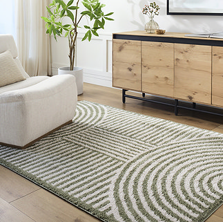 image of green and cream abstract arch rug on light wood flooring