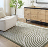 image of green and cream abstract arch rug on light wood flooring