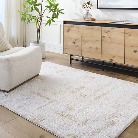 image of beige and cream abstract rug on light wood flooring of living room