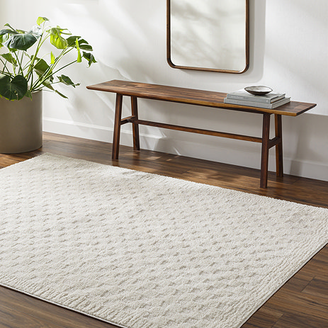 image of soft ivory checkered rug with subtle stripe border, on dark wood flooring next to walnut bench and potted plant