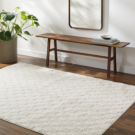 image of soft ivory checkered rug on dark flooring next to walnut bench and potted plant