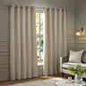 Galaxy Eyelet Curtains in Ivory over a window image