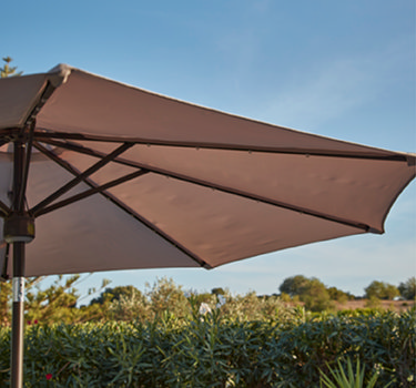 Parasol