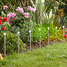 image of 10 acrylic glowball stake lights in garden during the day
