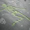 Skeleton Duvet Glow