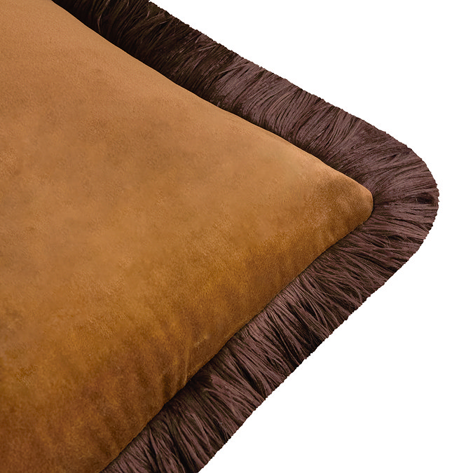 Halo caramel cushion image