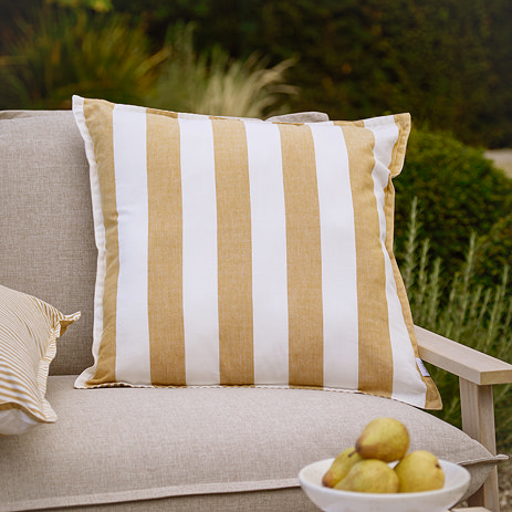 Hayle Honey on seat image 1