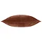 nutmeg image 2