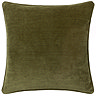olive image 2