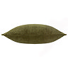 Olive image 3