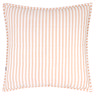 Hebden Feather Cushion 55x55cm Blush and Cotta image 