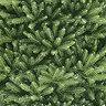2.1m Hollis Fir Tree Green