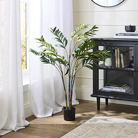 Home Accessories Areca Palm Tree main image