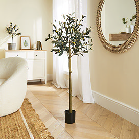 Home Accessories Olive Tree - Medium main image