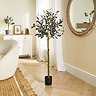 Home Accessories Olive Tree - Medium main image