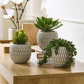 Home Accessories Set of 3 Succulents in Ceramic Pots main image