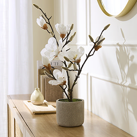 Home Accessories White Magnolia in Pot main image