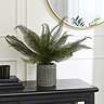 Home Accessories Wide Fern in Ceramic Pot main image