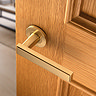 isen satin brass block door handle image