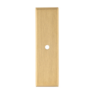 Isen Satin Brass rectangular backplate image