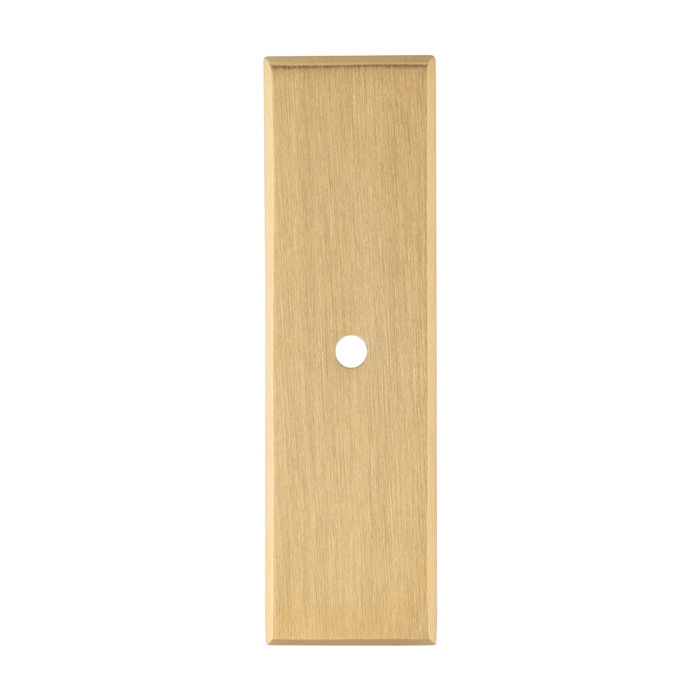 Isen Satin Brass rectangular backplate image