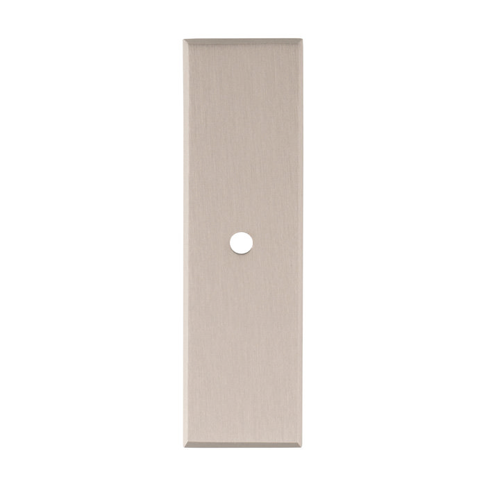 Isen Satin Nickel rectangular backplate image