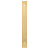 Isen Satin Brass PVD T-Bar Cabinet Handle Backplate image