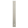 Isen Satin Nickel T-Bar Cabinet Handle Backplate Image