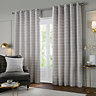 Jupiter Eyelet Curtains in Silver Image