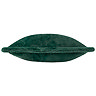 Kallu Needle Green cushion image