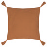 image cut out on white background of dark orange cushion with tasseled edges