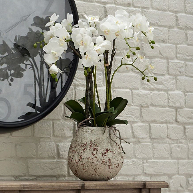 image of faux white orchid in stone pot on a sideboard, with roots showing