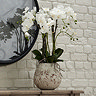 image of faux white orchid in stone pot on a sideboard, with roots showing