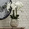 image of faux white orchid in stone pot on a sideboard, with roots showing